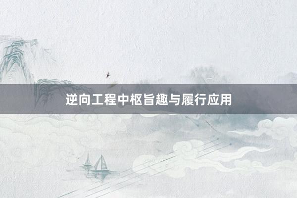 逆向工程中枢旨趣与履行应用