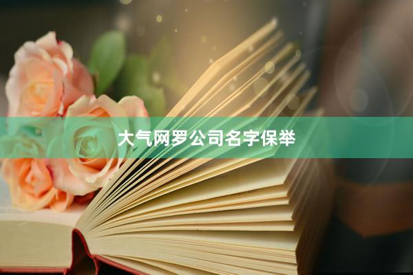 大气网罗公司名字保举